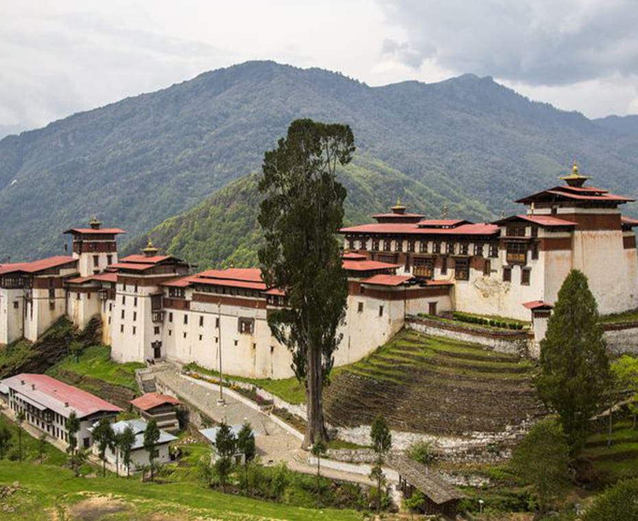 destination single image