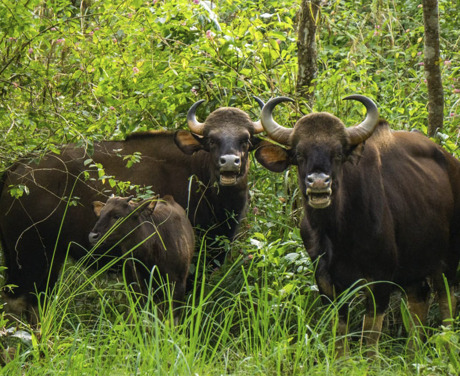 destination single image