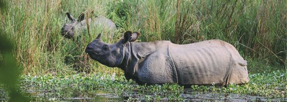 destination single image