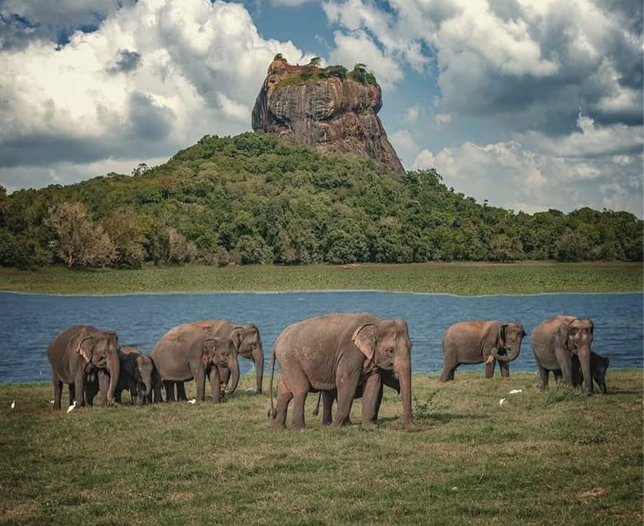 destination single image