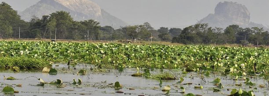 destination single image