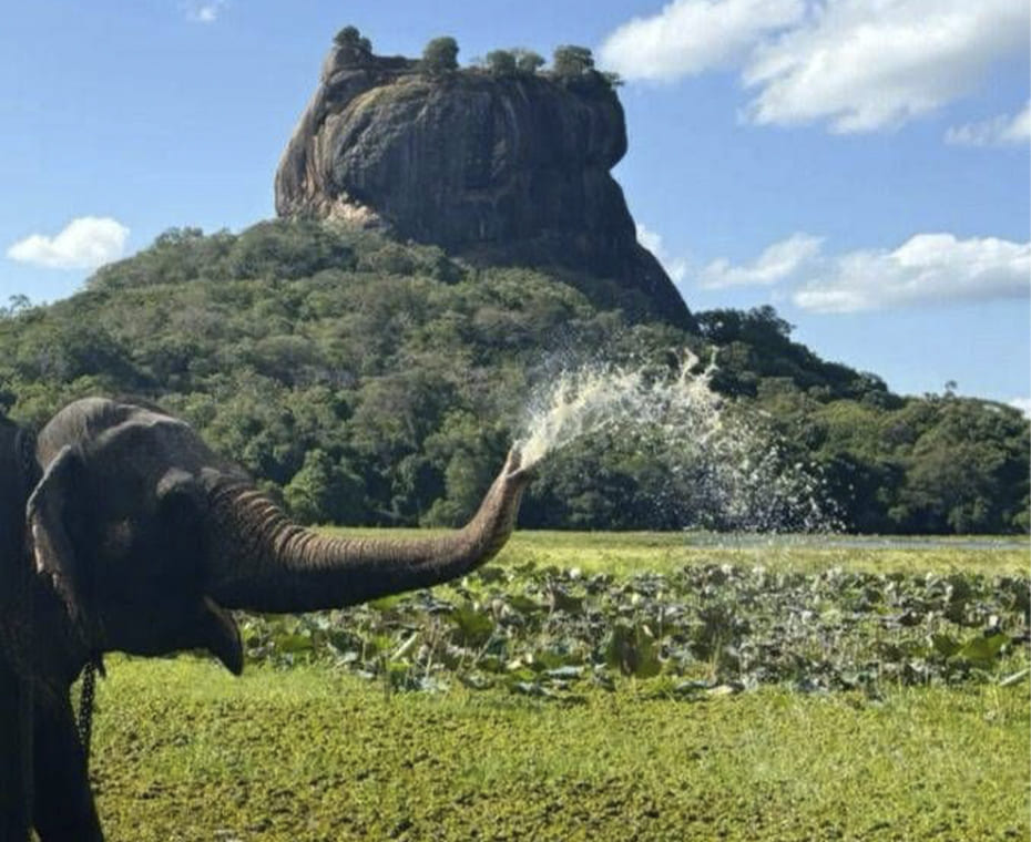 destination single image