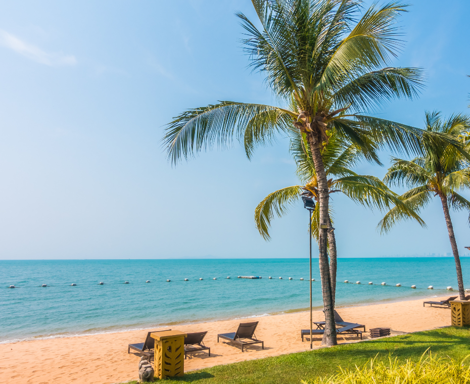 destination single image