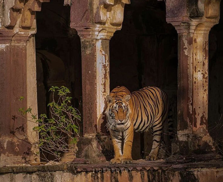 destination single image