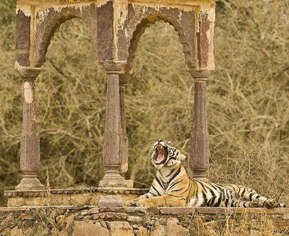 destination single image