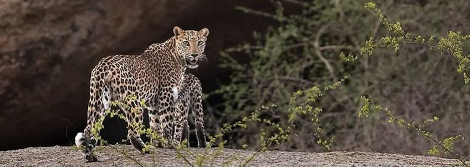 destination single image