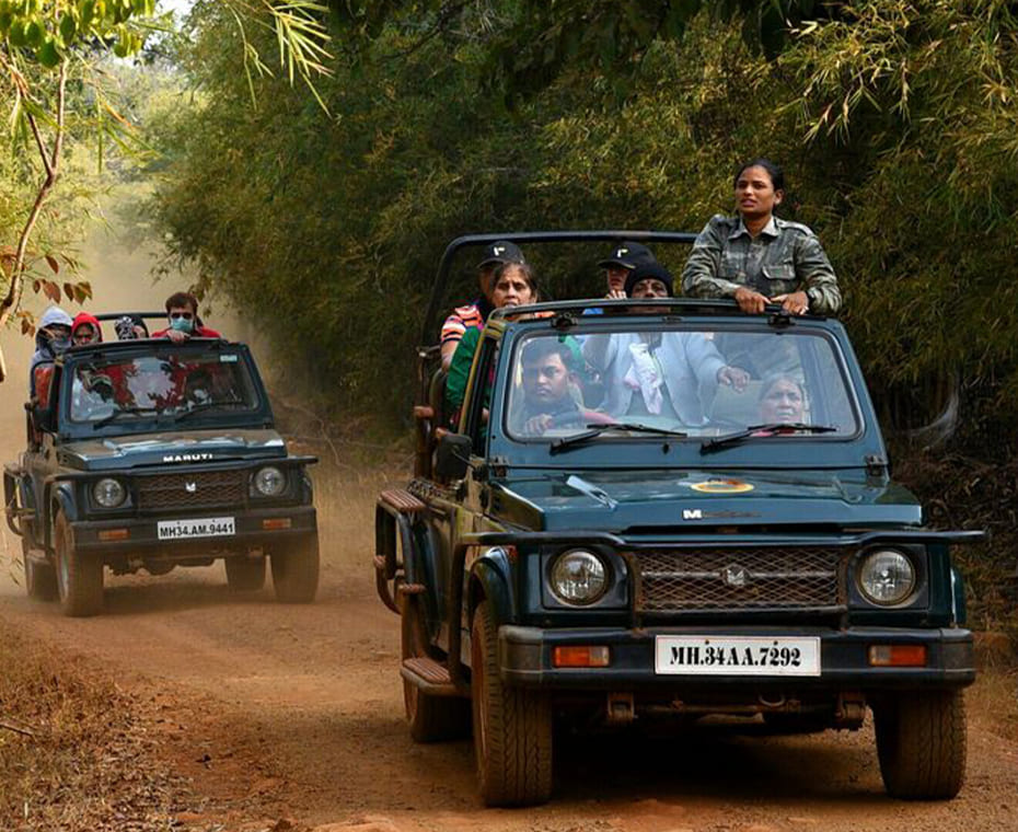 destination single image