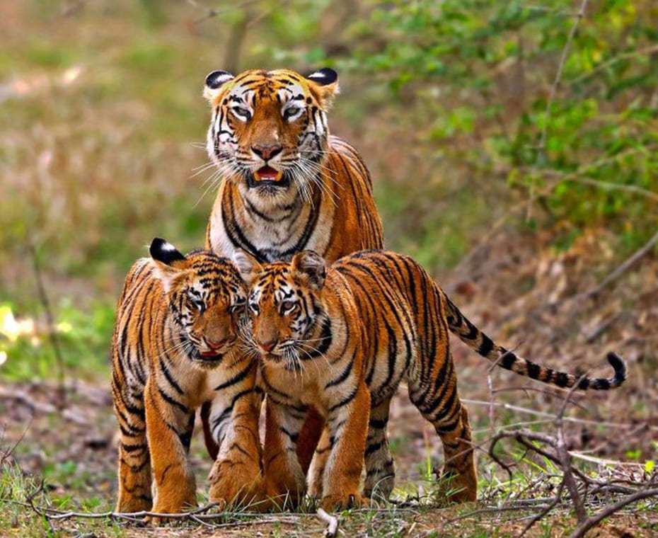 destination single image