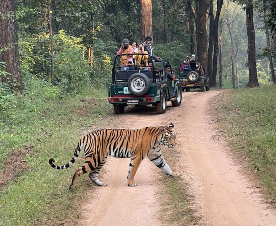 destination single image