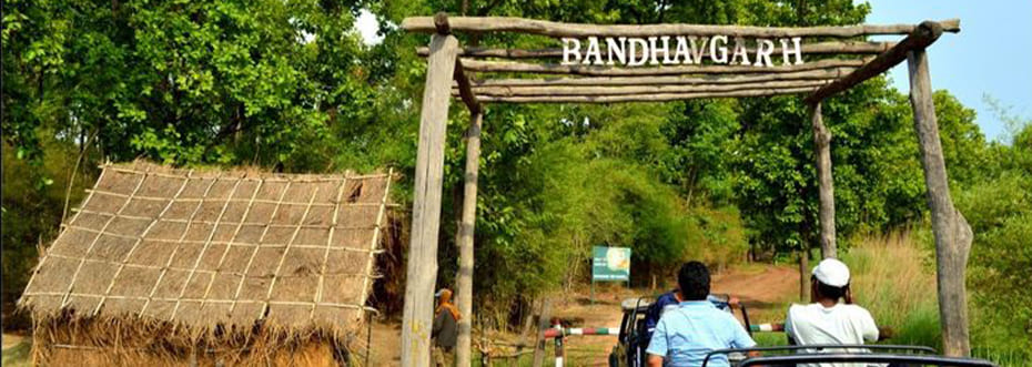 destination single image