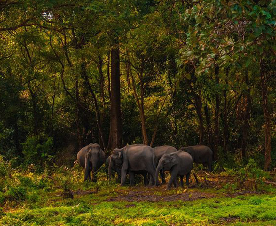 destination single image