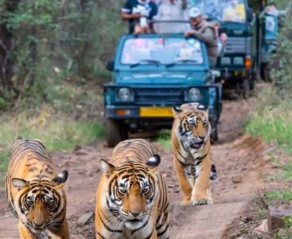 destination single image