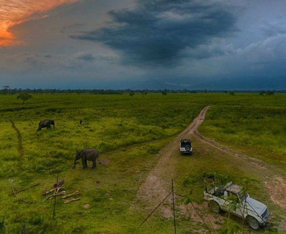 destination single image