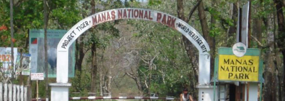 destination single image