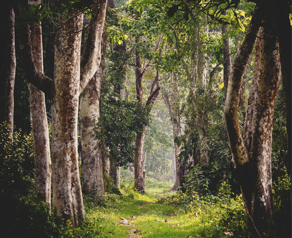 destination single image