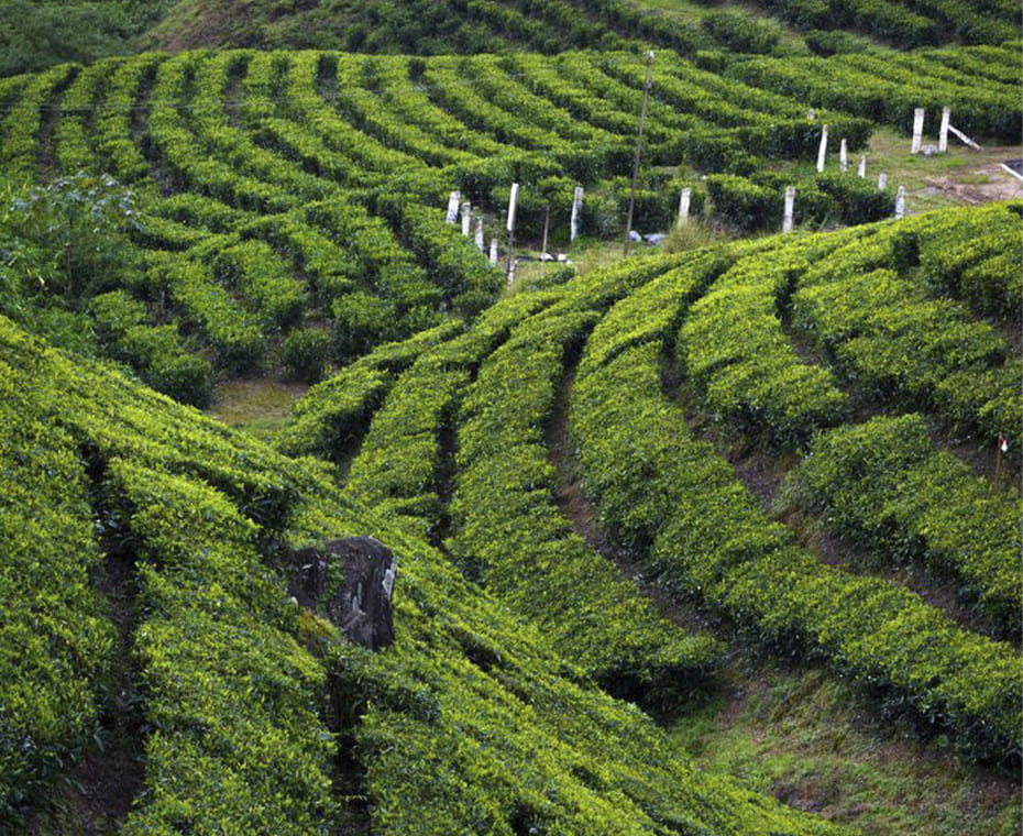 destination single image